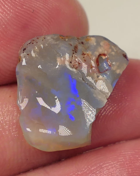 Lightning Ridge Rough Opal 12cts Dark Base Knobby Split Bright Blue fires in the bars 20x14x5mm to 13x8x5mm 0520