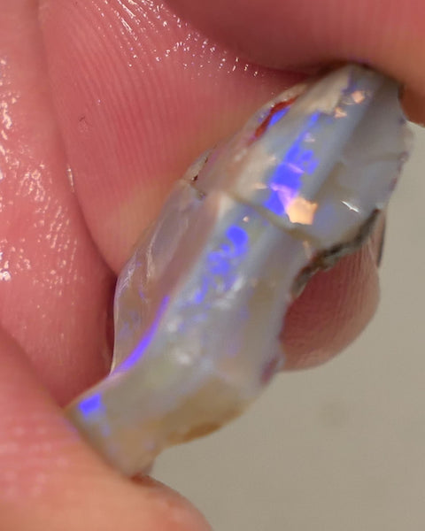 Lightning Ridge Rough Opal 12cts Dark Base Knobby Split Bright Blue fires in the bars 20x14x5mm to 13x8x5mm 0520