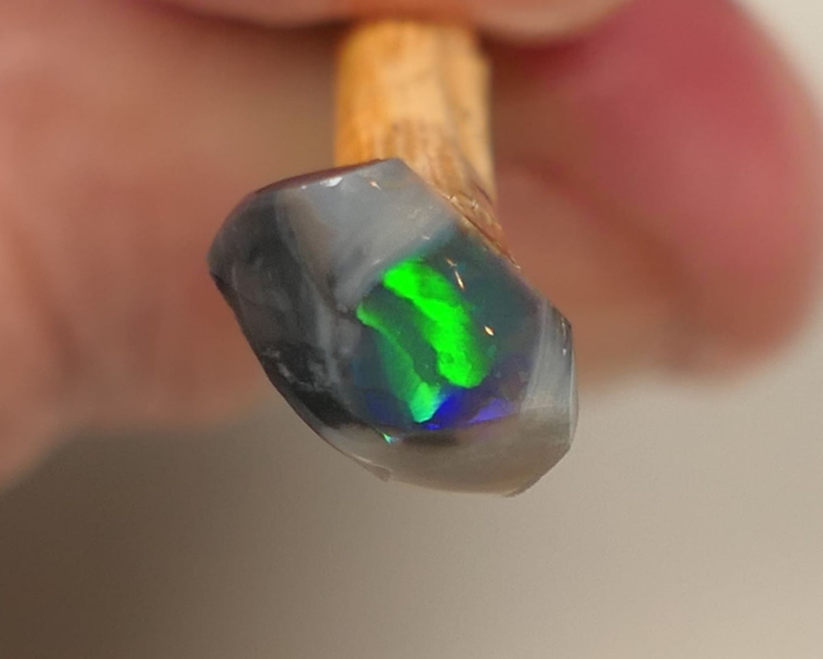 Mulga® Miners Bench® Tiny GEM Black Opal Rough Rub 1cs Stunning Pointer to be had Gorgeous Broad rolling flash showing electric Green Blue & Teal 10x4x2.5mm 0522