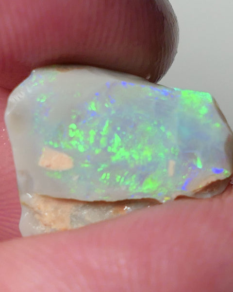 Lightning Ridge Opal Dark Base Seam Rough Rub 4.75cts Gorgeous Display of Bright Multifires 15x11x3mm 0541