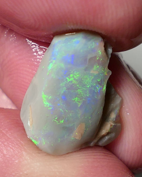 Lightning Ridge Opal Dark Base Seam Rough Rub 4.75cts Gorgeous Display of Bright Multifires 15x11x3mm 0541