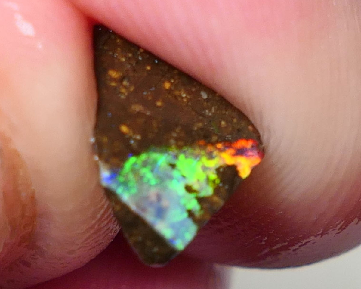 Queensland Boulder Boulder opal 5cts rough / Rubs Winton Bright Electric Multifires 13x9x3mm & 6x4x3mm 0606