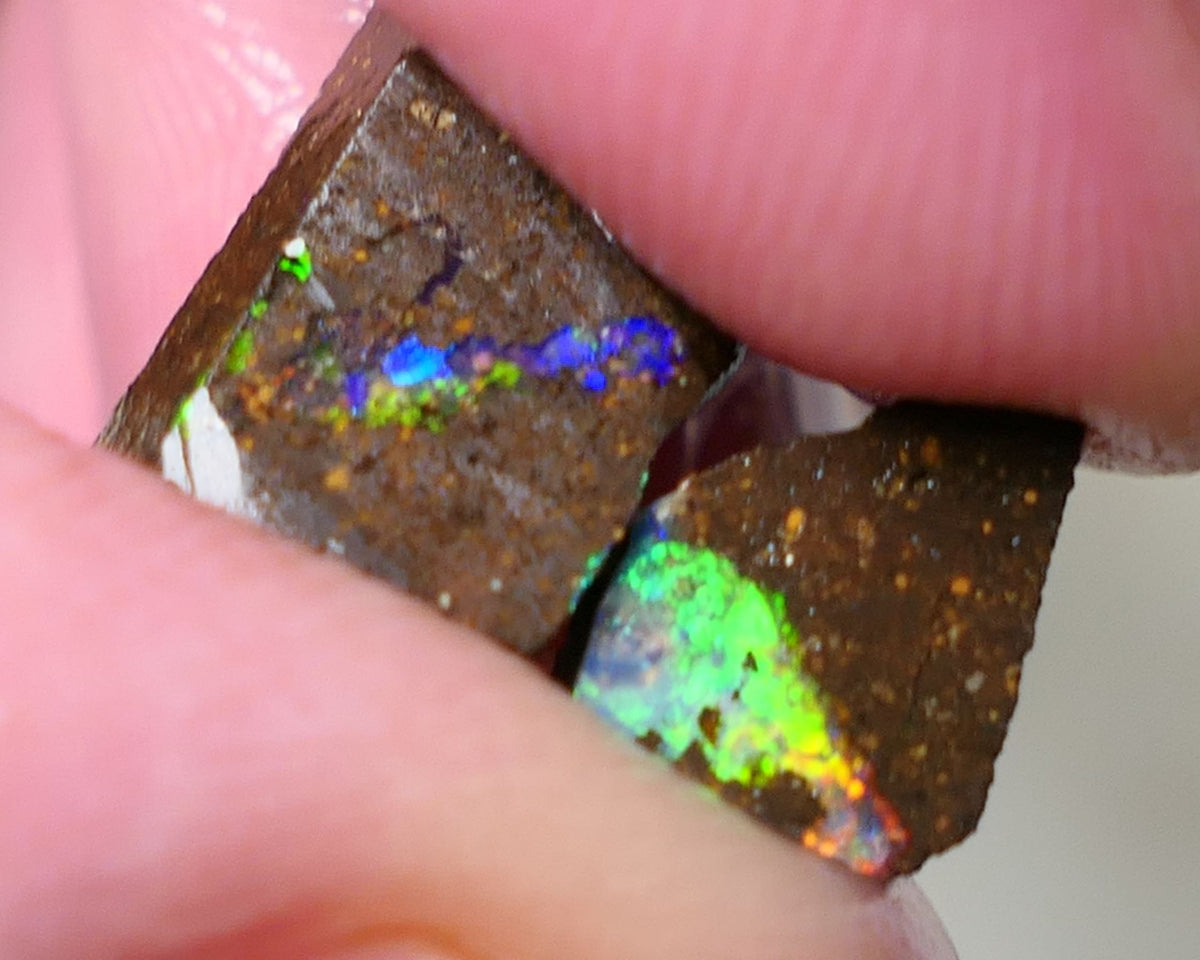 Queensland Boulder Boulder opal 5cts rough / Rubs Winton Bright Electric Multifires 13x9x3mm & 6x4x3mm 0606