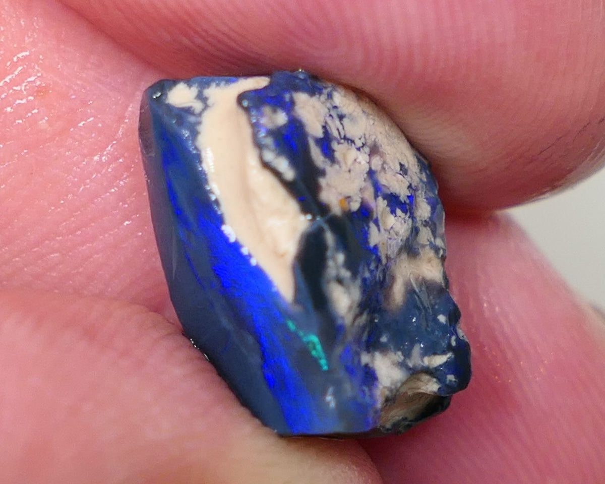 Lightning Ridge Rough Opal 7cts Black Base Gamble Seam Very Bright Royal Blues showing 15x11x7mm 0629