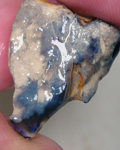 Lightning Ridge Rough Opal 23cts Black / Dark Base Gamble Seam Bits Blues in the bar 27x20x12mm 0636