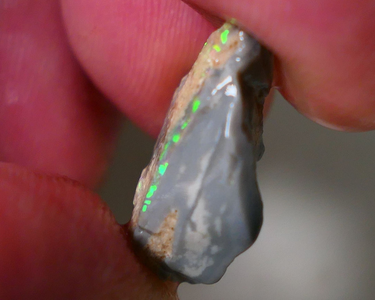 Lightning Ridge Rough Opal 8cts Dark Base Gamble Seam Showing Gem Bright Multifires bar 18x14x6mm WAE18