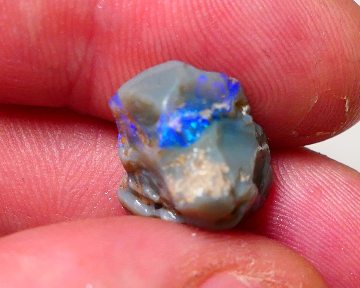 Lightning Ridge Rough Opal 9.5cts Dark Base Pea Knobby showing nice  Bright colours 15x13x12mm 0702