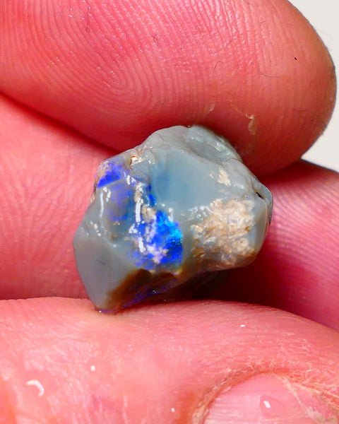 Lightning Ridge Rough Opal 9.5cts Dark Base Pea Knobby showing nice  Bright colours 15x13x12mm 0702