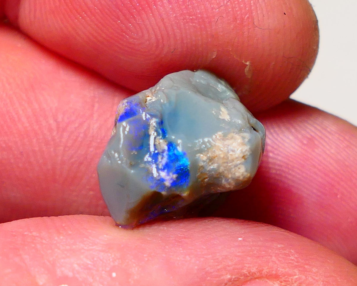 Lightning Ridge Rough Opal 9.5cts Dark Base Pea Knobby showing nice  Bright colours 15x13x12mm 0702