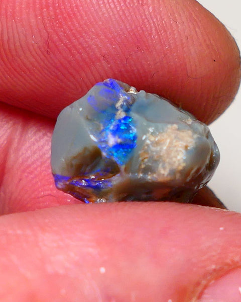 Lightning Ridge Rough Opal 9.5cts Dark Base Pea Knobby showing nice  Bright colours 15x13x12mm 0702