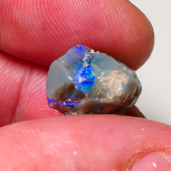 Lightning Ridge Rough Opal 9.5cts Dark Base Pea Knobby showing nice  Bright colours 15x13x12mm 0702