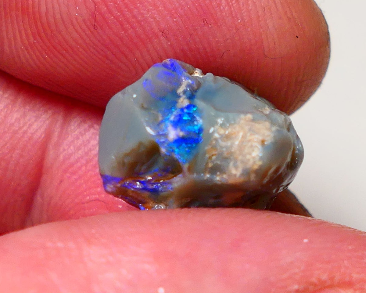 Lightning Ridge Rough Opal 9.5cts Dark Base Pea Knobby showing nice  Bright colours 15x13x12mm 0702