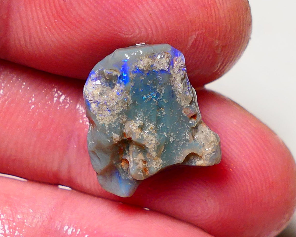 Lightning Ridge Rough Opal 9.5cts Dark Base Pea Knobby showing nice  Bright colours 15x13x12mm 0702