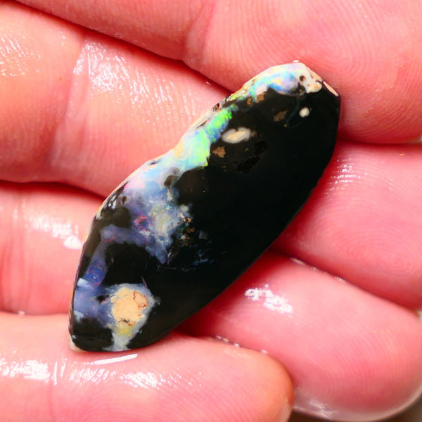 Lightning Ridge Rough / Rub Black opal  17cts Large Picture stone with some Reds & Multifires 37x16x4mm A1530