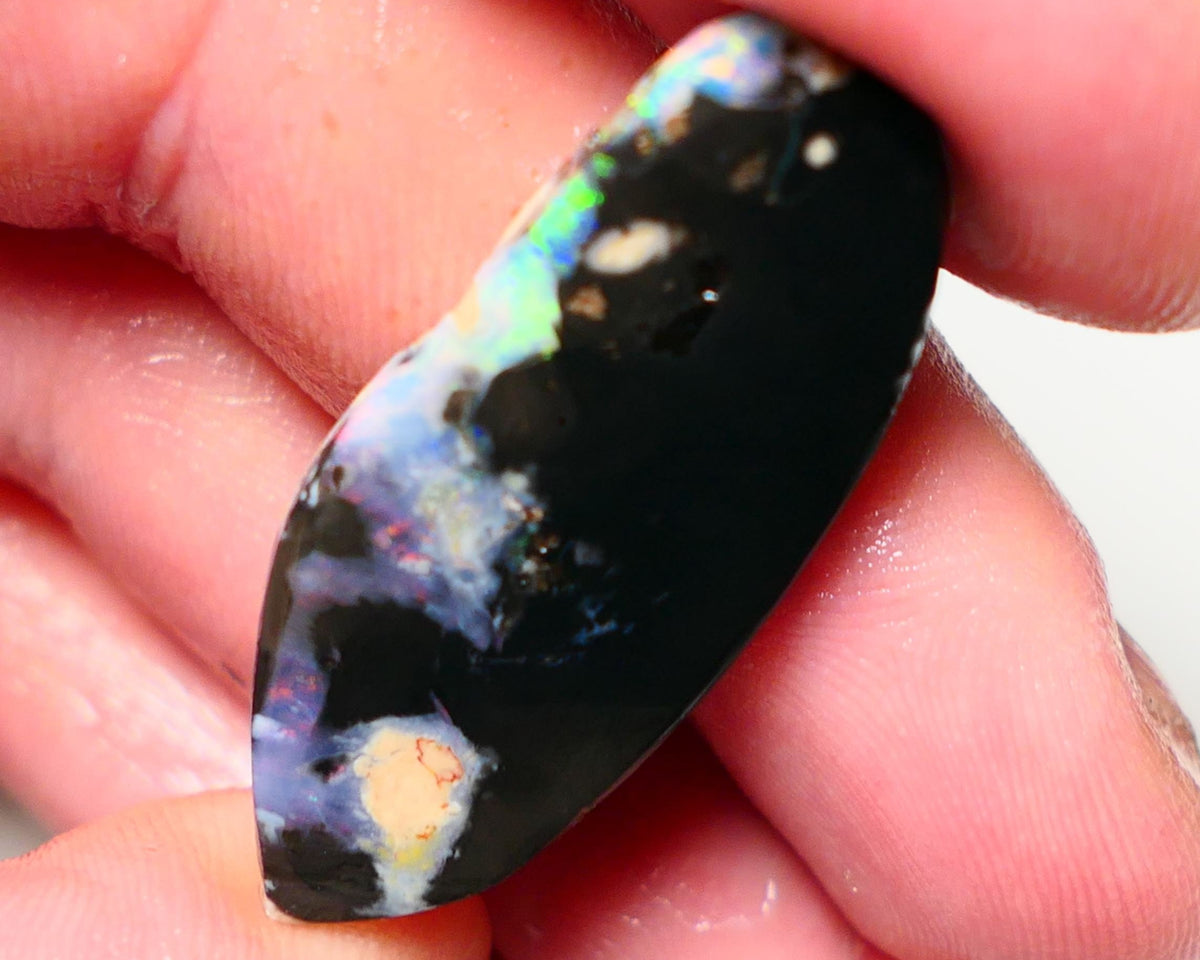 Lightning Ridge Rough / Rub Black opal  17cts Large Picture stone with some Reds & Multifires 37x16x4mm A1530