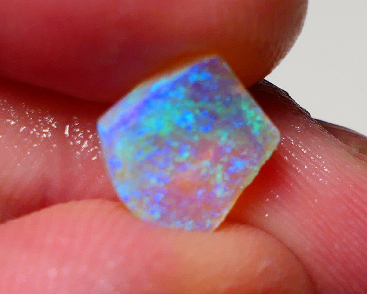 Lightning Ridge Gem Opal Crystal Base knobby Rough Rub 1.85cts Clean Gorgeous Stunning Vibrant Bright fires 9x8x3mm 0955