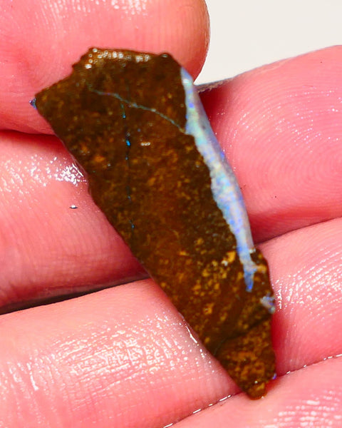 Queensland Boulder opal 18cts rough Winton  Bars to exposed with colour 30x15x6mm 0909