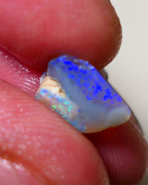 Lightning Ridge Opal Dark Crystal Base Seam Rough Rub 3.2cts Gorgeous Stunning Bright fires 14x12x4mm 1111