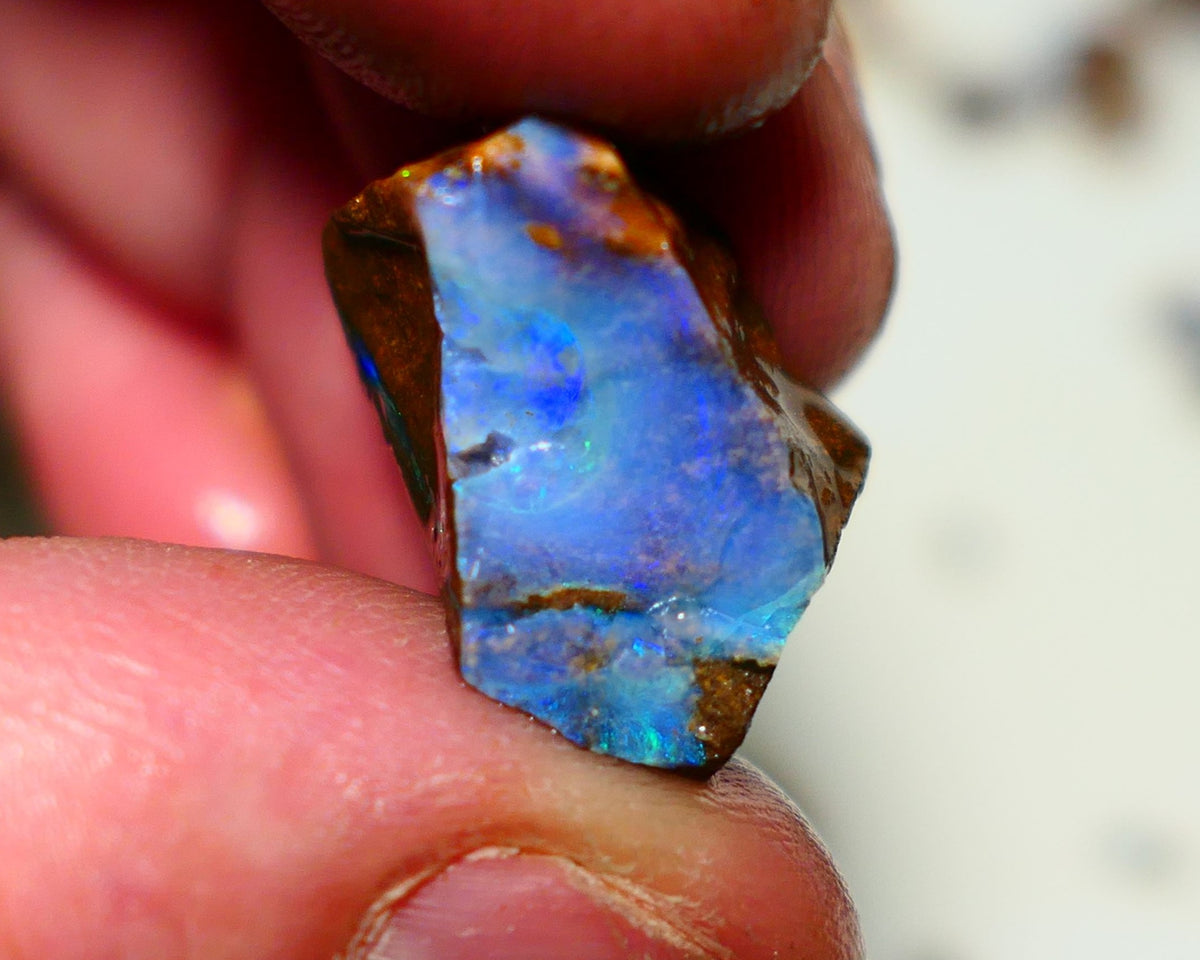 Queensland Boulder Boulder opal 23.50cts rough Winton gorgeous face with Blue dominant fires 20x12x11mm 2001A