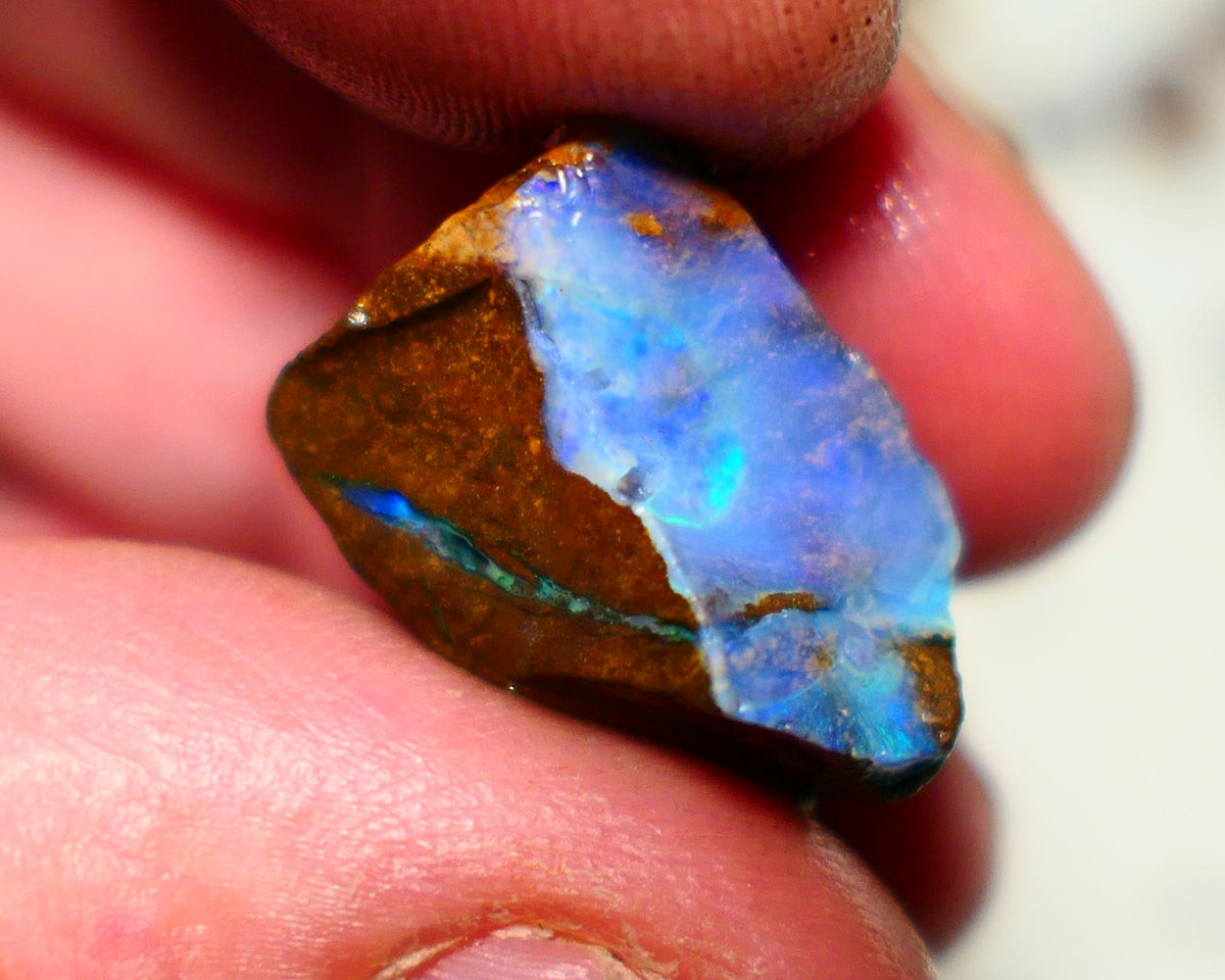 Queensland Boulder Boulder opal 23.50cts rough Winton gorgeous face with Blue dominant fires 20x12x11mm 2001A