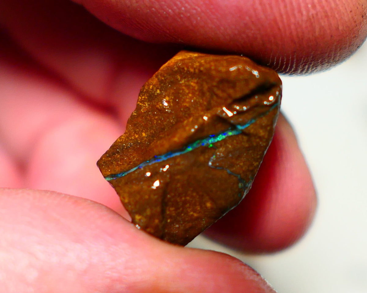 Queensland Boulder Boulder opal 23.50cts rough Winton gorgeous face with Blue dominant fires 20x12x11mm 2001A