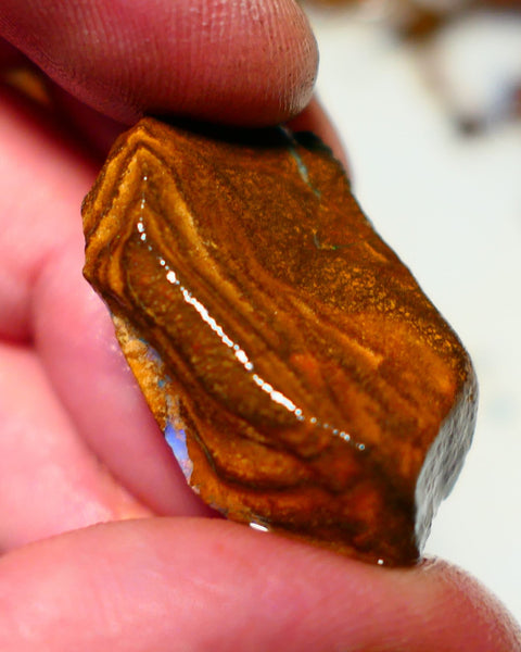 Queensland Boulder Boulder opal 63cts rough Winton gorgeous face with some fires 32x19x15mm 2002A