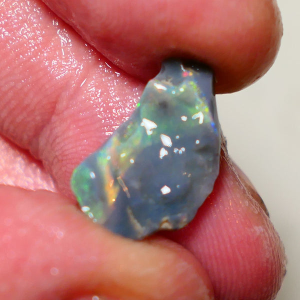 Mulga Rough Opal 3.65cts Stunning Dark Base Seam Bright Orange Dominant Multi colour fires to Cut / carve & polish 11x10x2.5mm 1138