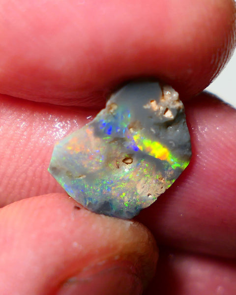 Mulga Rough rub Opal 1.55cts Stunning Dark Base Seam Band of gorgeous Bright & vibrant Multi colour fires to Cut / carve & polish 13x10x2mm 1139