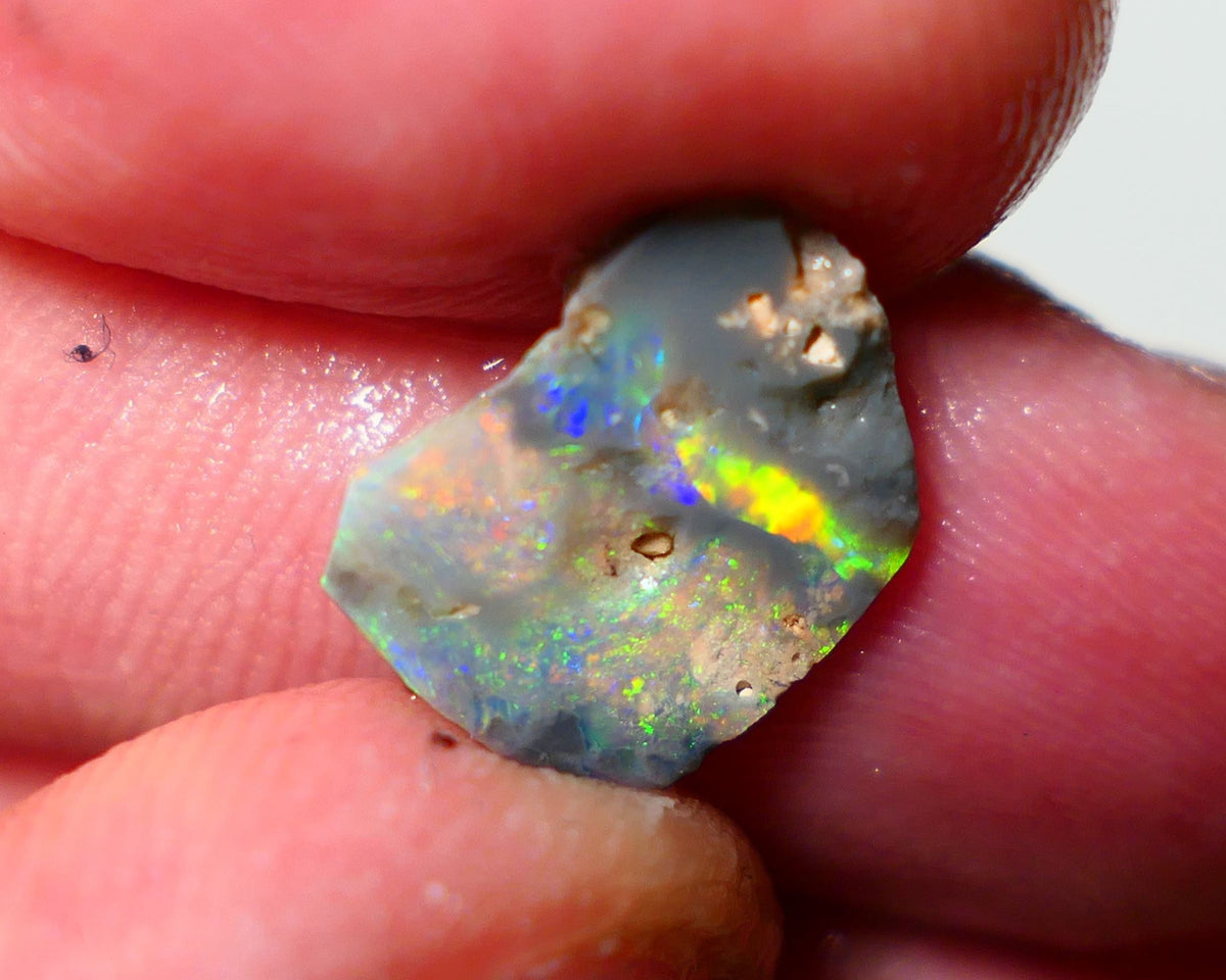 Mulga Rough rub Opal 1.55cts Stunning Dark Base Seam Band of gorgeous Bright & vibrant Multi colour fires to Cut / carve & polish 13x10x2mm 1139