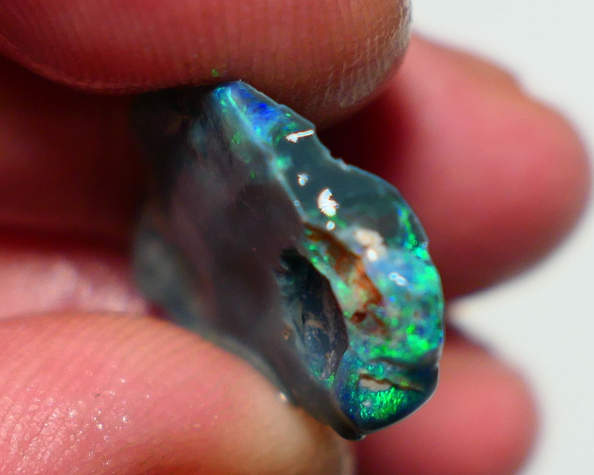 Lightning Ridge Black Rough Opal 10cts Gamble showing some Bright Green & blue fires 24x15x4mm 1330