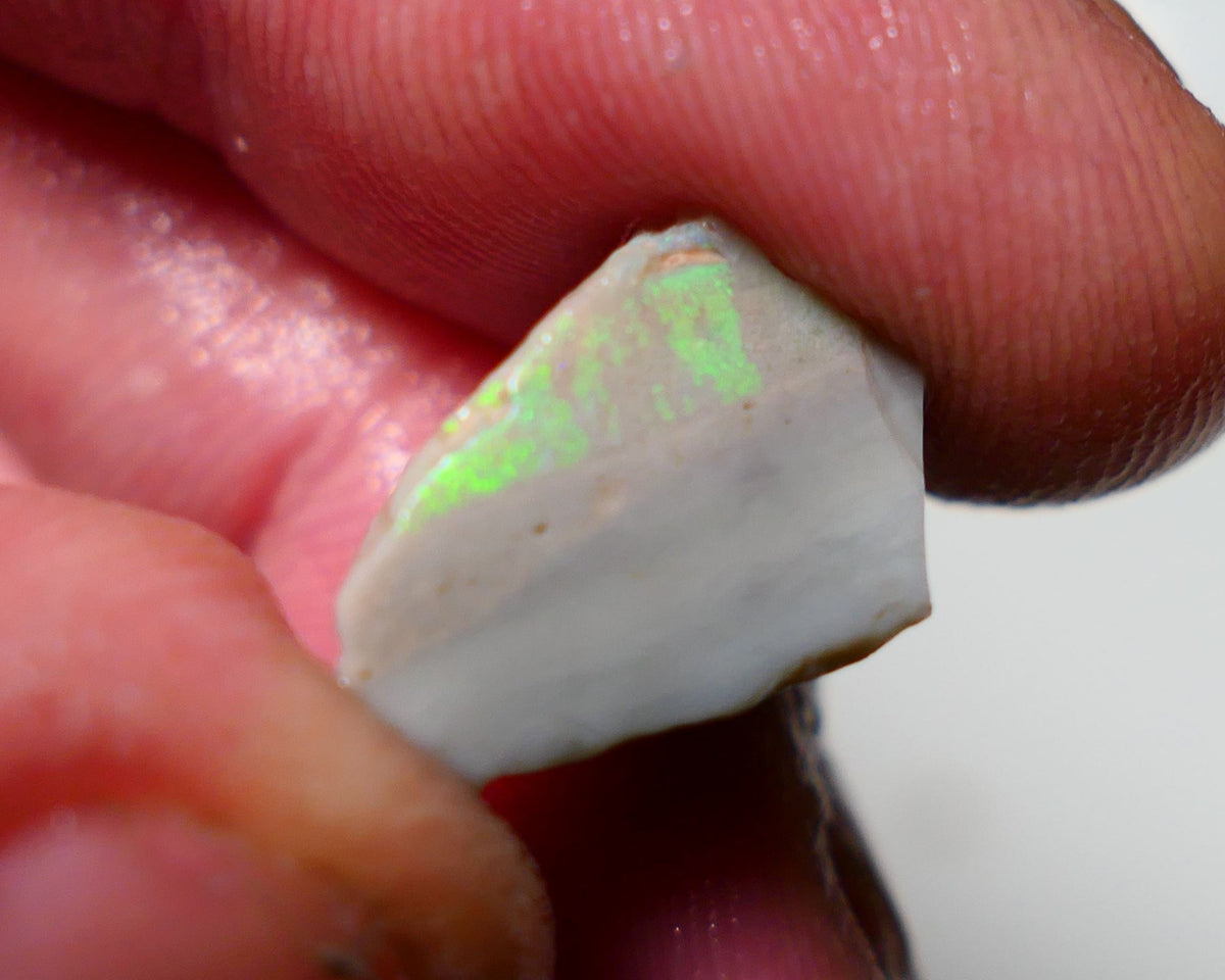 Lightning Ridge Rough Opal 9.70cts Dark Seam showing nice Bright Green Dominant colours 17x10x9mm 1307