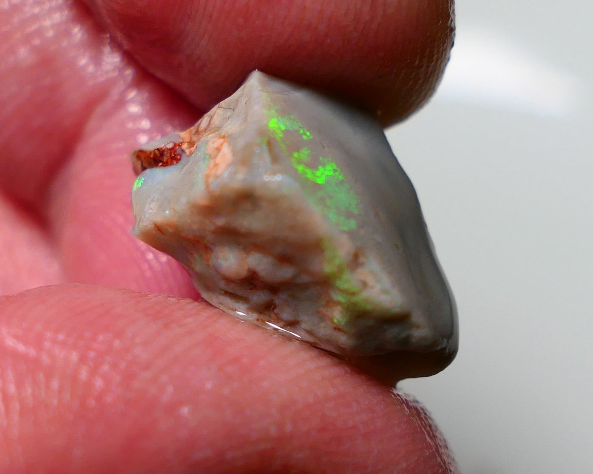 Lightning Ridge Rough Opal 9.70cts Dark Seam showing nice Bright Green Dominant colours 17x10x9mm 1307