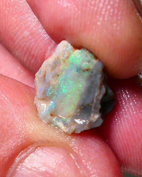 Lightning Ridge Opal Rough nice Opalised Wood Fossil 5.00cts Nice multi colours 13x13x10mm 1303