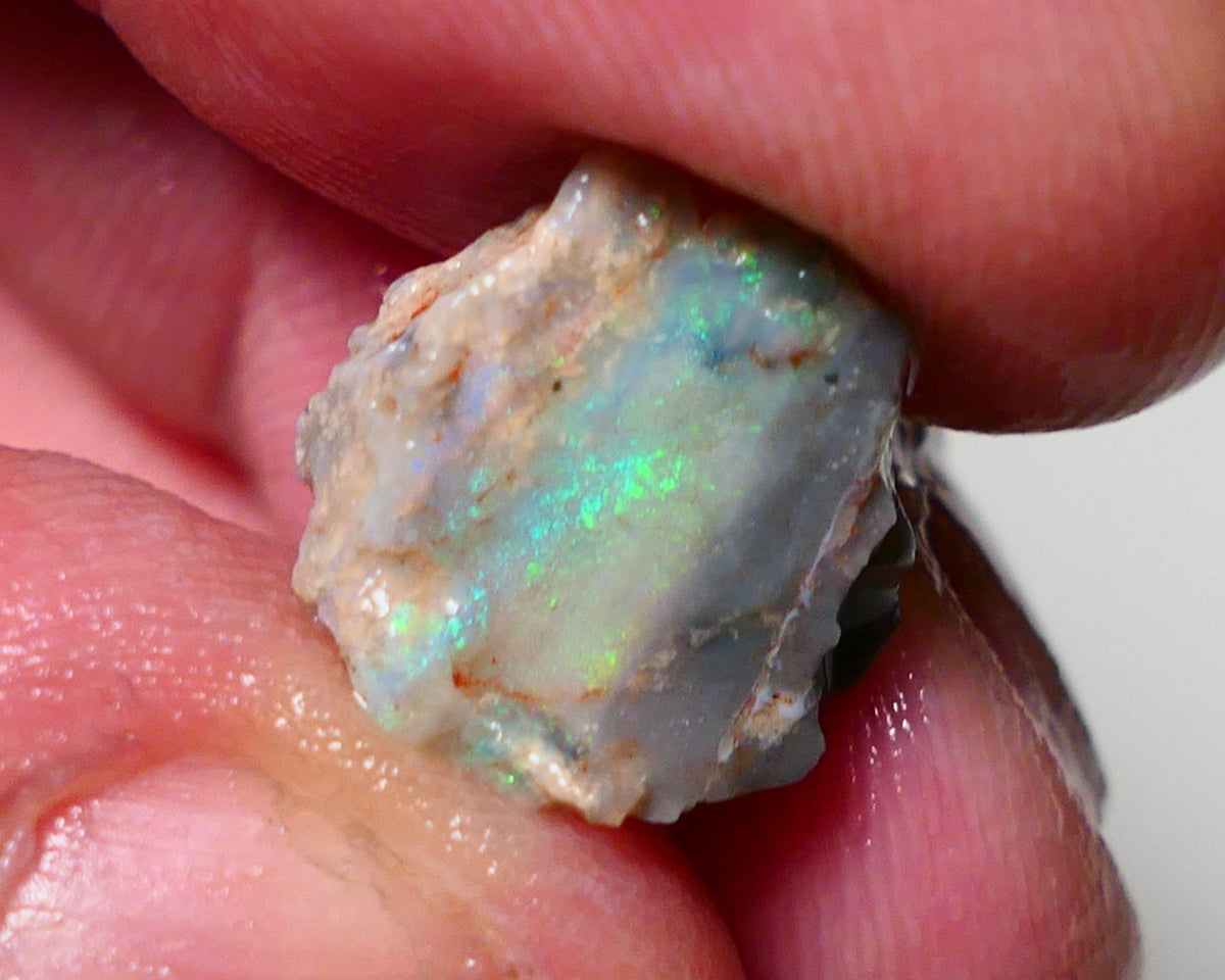 Lightning Ridge Opal Rough nice Opalised Wood Fossil 5.00cts Nice multi colours 13x13x10mm 1303