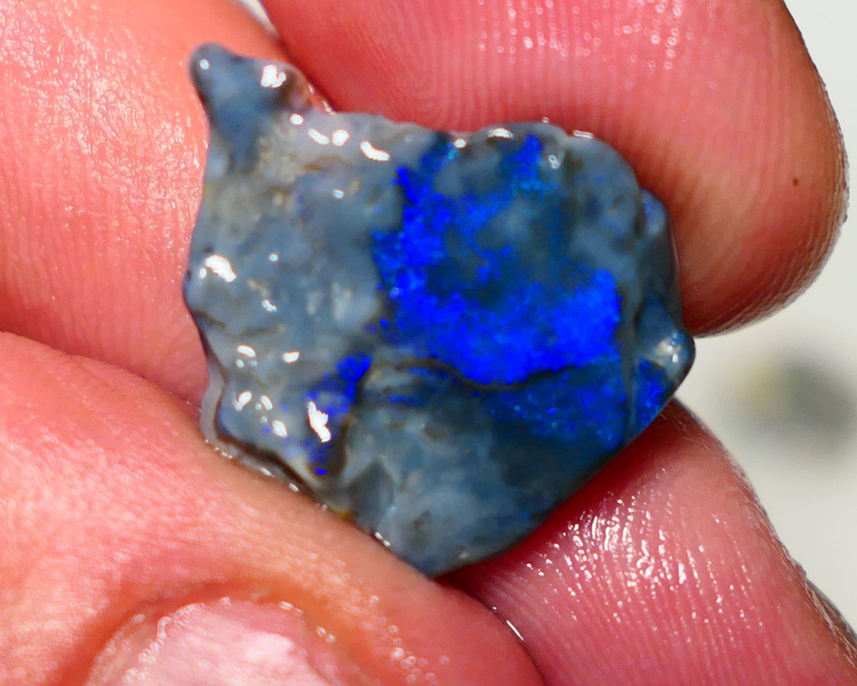 Lightning Ridge Opal Dark base Seam Rough 9.50cts Gorgeous Stunning Very Bright Royal Blue fires 21x19x7mm 1313