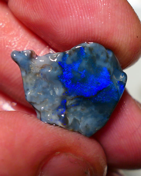 Lightning Ridge Opal Dark base Seam Rough 9.50cts Gorgeous Stunning Very Bright Royal Blue fires 21x19x7mm 1313