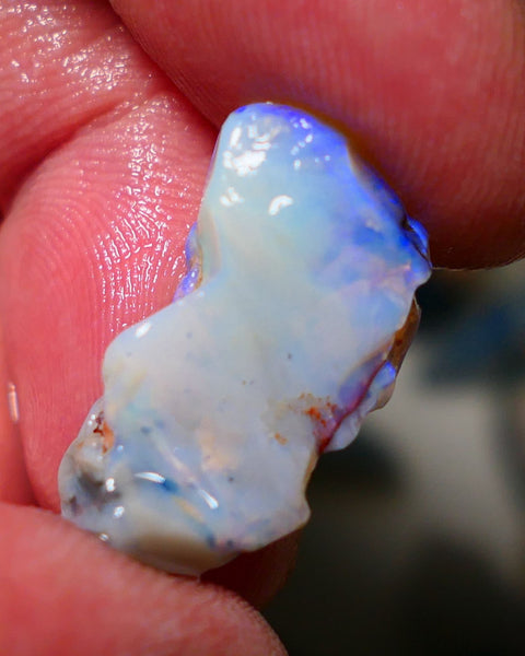 Lightning Ridge Rough Opal 9.50cts Seam showing lots of blues 23x12x6mm 1413