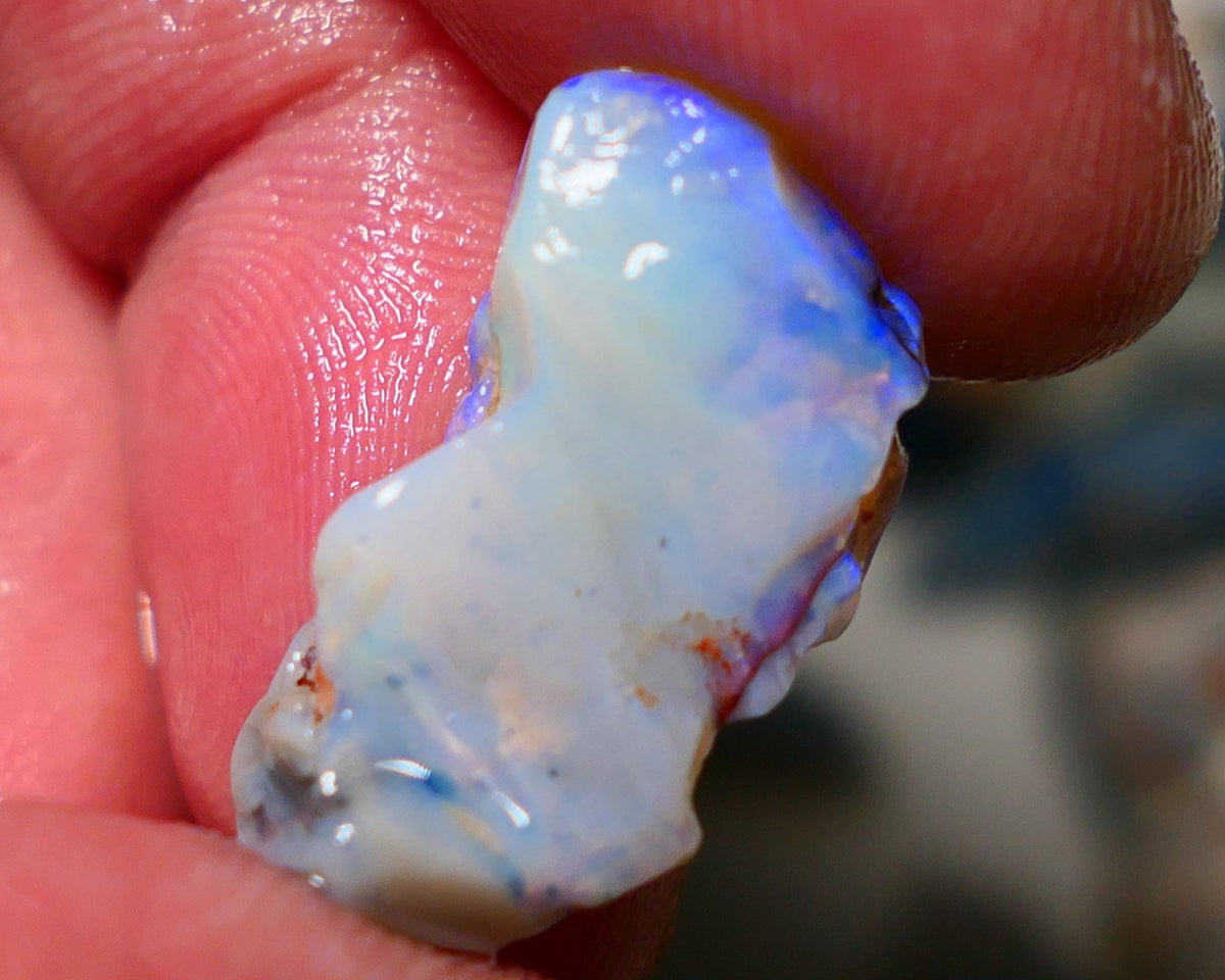 Lightning Ridge Rough Opal 9.50cts Seam showing lots of blues 23x12x6mm 1413