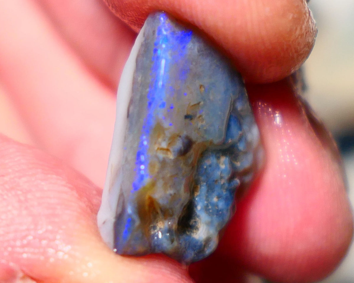 Lightning Ridge Rough Opal 8.75cts Half a dark base knobby opal showing lots blues colours 19x13x6mm 1407