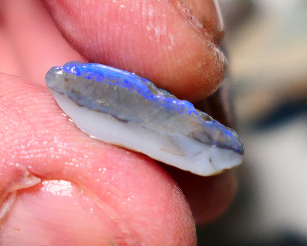 Lightning Ridge Rough Opal 8.75cts Half a dark base knobby opal showing lots blues colours 19x13x6mm 1407