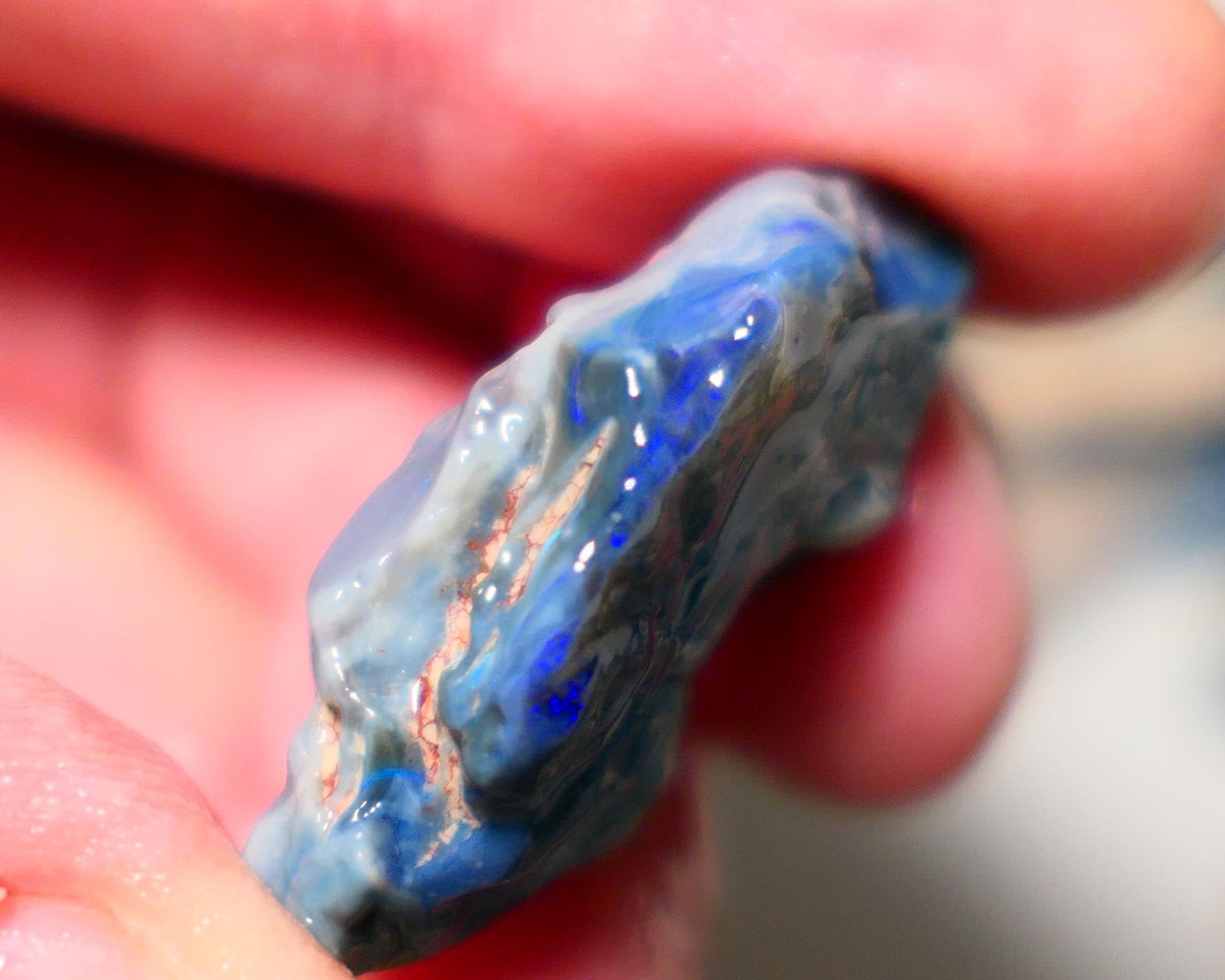 Lightning Ridge Rough Opal 28cts Big Dark Seam showing some nice blues 33x20x9mm 1406