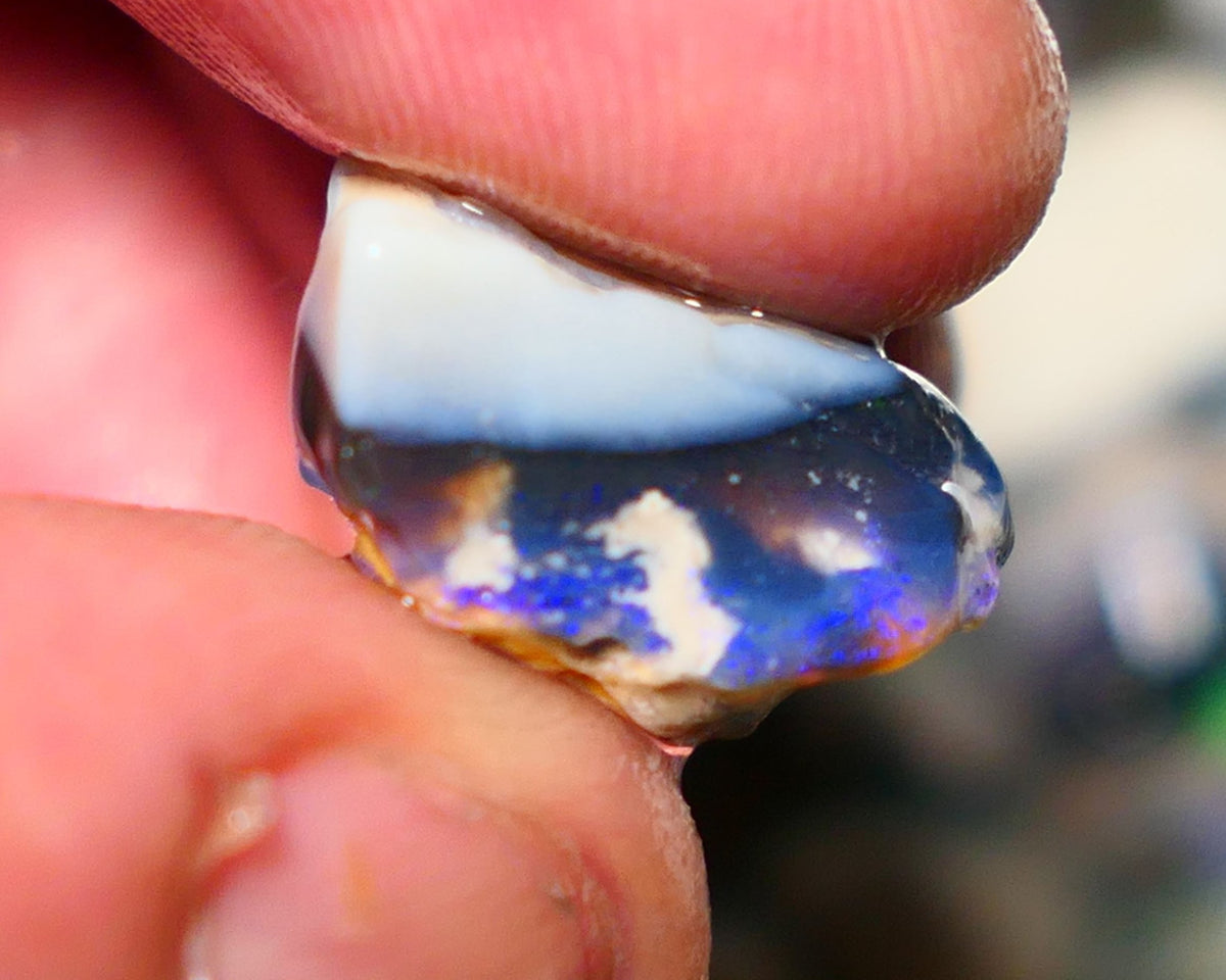 Lightning Ridge Rough Opal 13.50cts Black/Dark Seam formation showing some gorgeous blues 18x18x10mm 1404