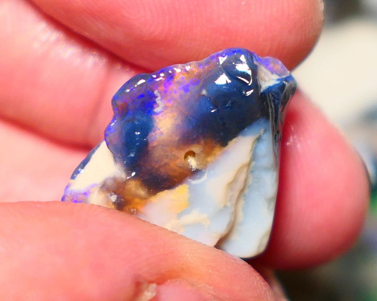 Lightning Ridge Rough Opal 13.50cts Black/Dark Seam formation showing some gorgeous blues 18x18x10mm 1404