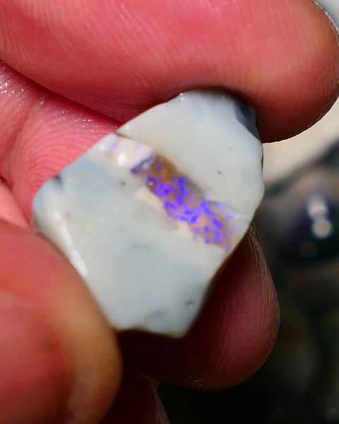 Lightning Ridge Rough Opal 12.25cts Grey base Seam opal showing a band of blue colour 20x14x6mm 1403