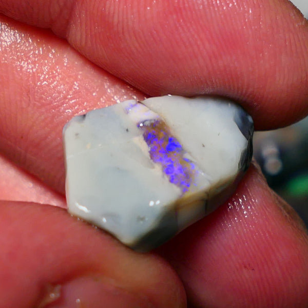 Lightning Ridge Rough Opal 12.25cts Grey base Seam opal showing a band of blue colour 20x14x6mm 1403