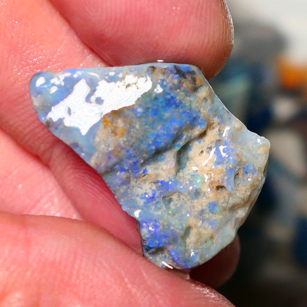 Lightning Ridge Rough Opal 18cts Dark Seam opal formation showing lots of light blues 27x19x7mm 1402