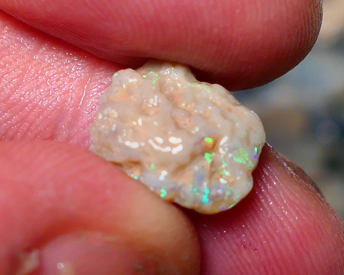 Lightning Ridge Rough Opal 4cts Small knobby formation showing some bright multicolour 14x10x5mm 1411