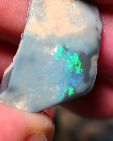 Lightning Ridge Rough Rub Opal 23cts Dark Seam showing Gorgeous zone of bright vibrant fires 31x18x7.5mm 1323