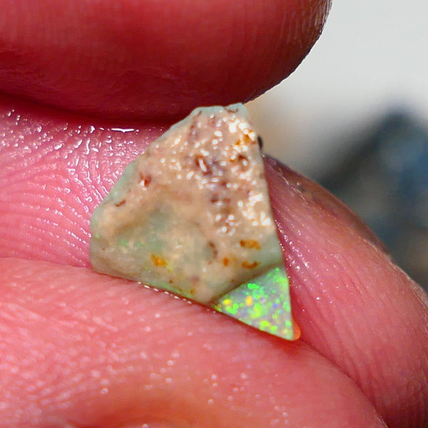 Lightning Ridge Rough Opal 1.75cts Little Seam Gamble Very Bright multicolours 10x8x4mm 1410