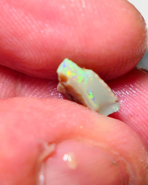 Lightning Ridge Rough Opal 1.75cts Little Seam Gamble Very Bright multicolours 10x8x4mm 1410